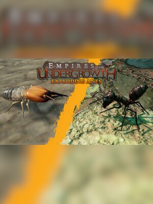 gallery-image-item-0