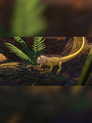 gallery-image-item-5