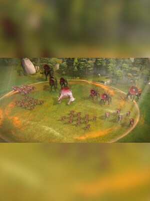 gallery-image-item-2