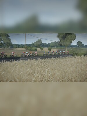 gallery-image-item-1