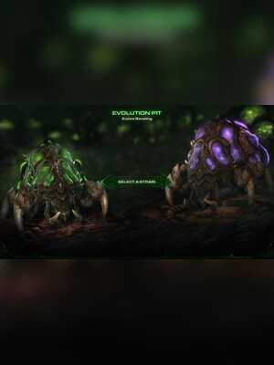 gallery-image-item-2