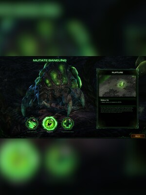 gallery-image-item-0