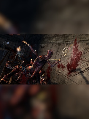 gallery-image-item-2