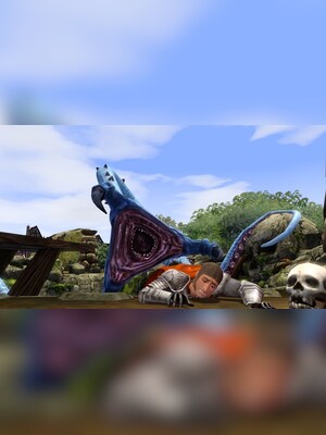 gallery-image-item-1