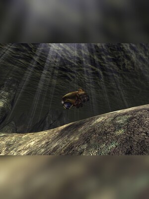 gallery-image-item-0