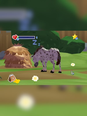 gallery-image-item-0