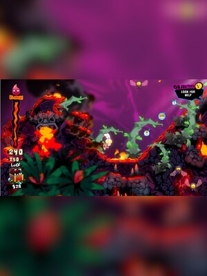 gallery-image-item-0