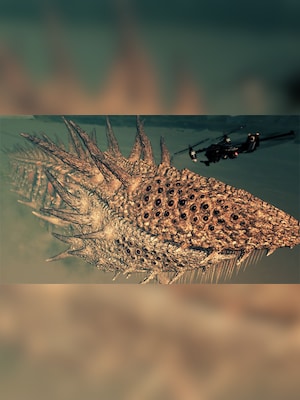 gallery-image-item-2