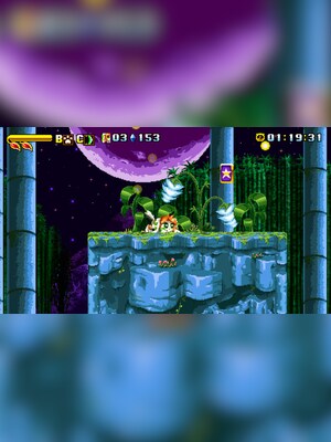 gallery-image-item-2