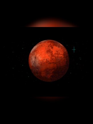 gallery-image-item-2