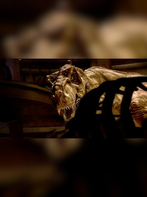 gallery-image-item-0