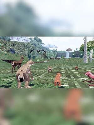 gallery-image-item-1