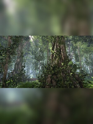 gallery-image-item-5