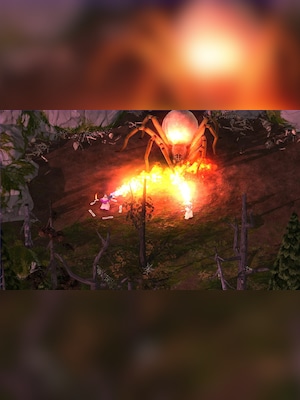 gallery-image-item-0