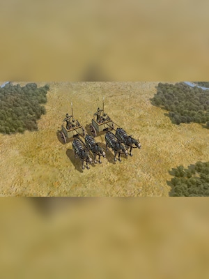 gallery-image-item-0