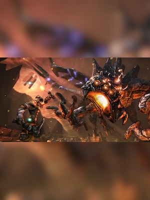 gallery-image-item-5