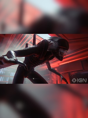 gallery-image-item-2