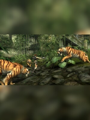 gallery-image-item-4