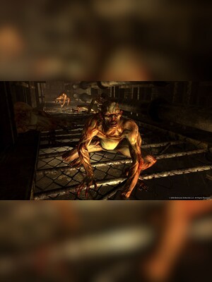 gallery-image-item-2