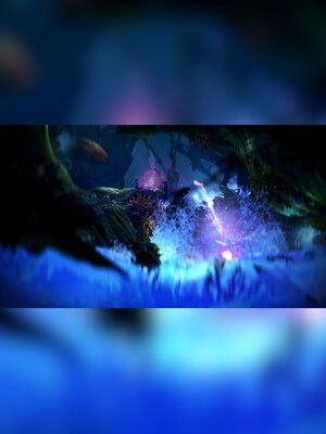 gallery-image-item-1
