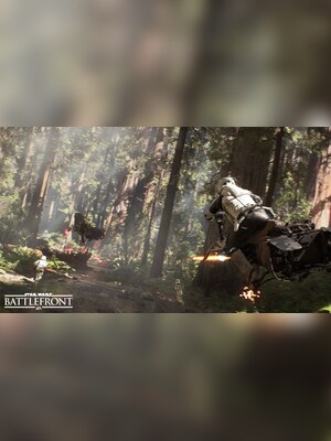 gallery-image-item-2