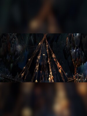 gallery-image-item-0