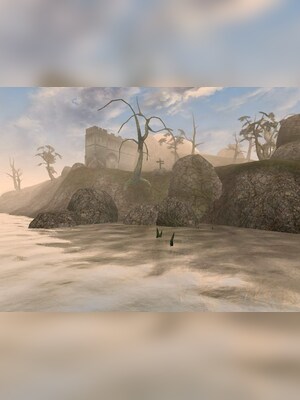 gallery-image-item-3