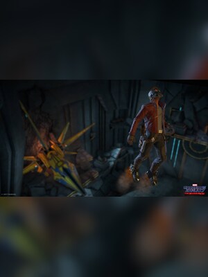 gallery-image-item-2