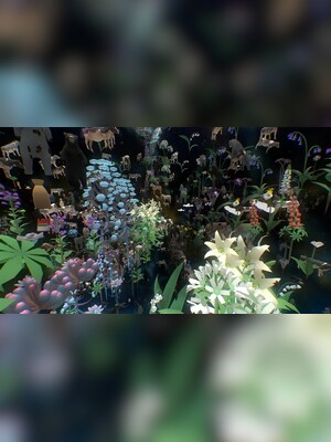 gallery-image-item-5