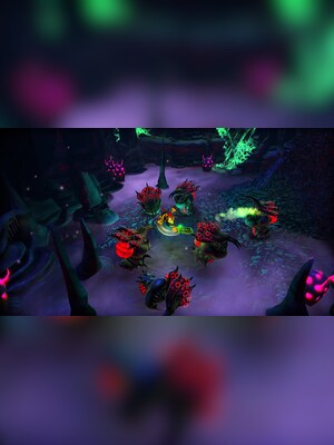 gallery-image-item-0