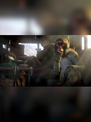 gallery-image-item-5