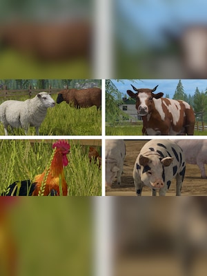 gallery-image-item-1