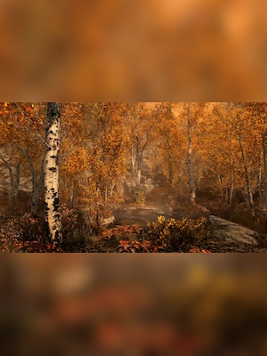 gallery-image-item-2