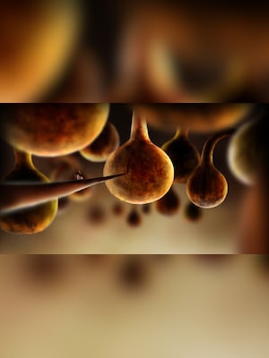 gallery-image-item-1