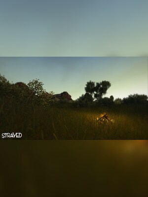 gallery-image-item-2