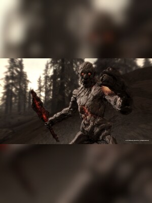 gallery-image-item-2