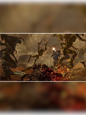 gallery-image-item-3