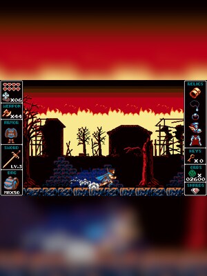 gallery-image-item-2