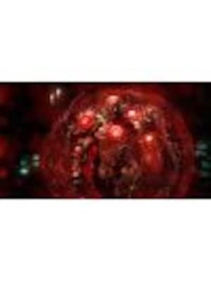 gallery-image-item-0