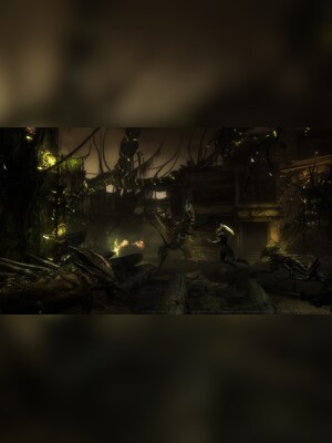 gallery-image-item-2