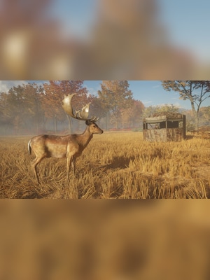 gallery-image-item-5