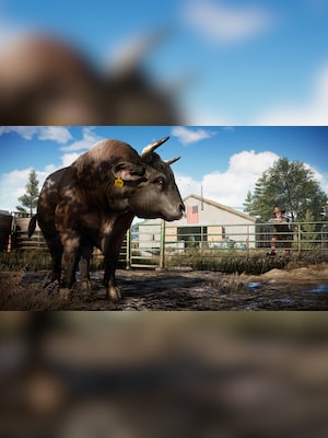 gallery-image-item-2