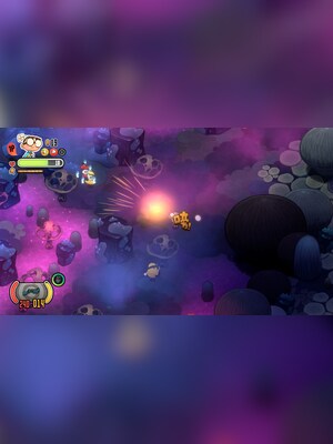 gallery-image-item-2