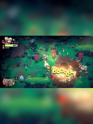 gallery-image-item-0