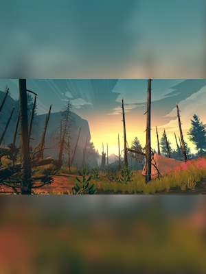 gallery-image-item-2