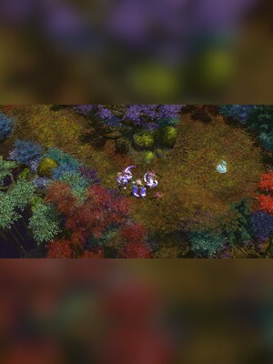 gallery-image-item-1