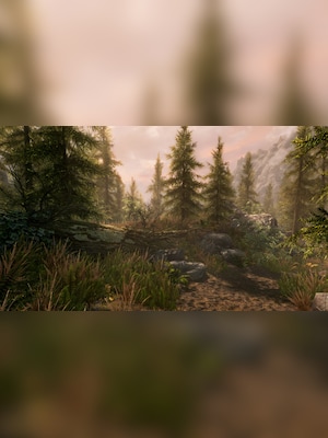 gallery-image-item-0