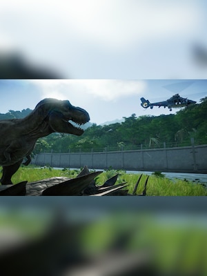 gallery-image-item-1