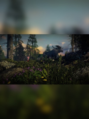 gallery-image-item-5