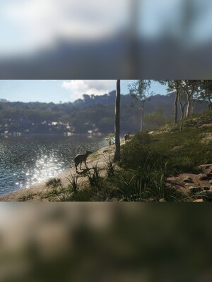 gallery-image-item-4